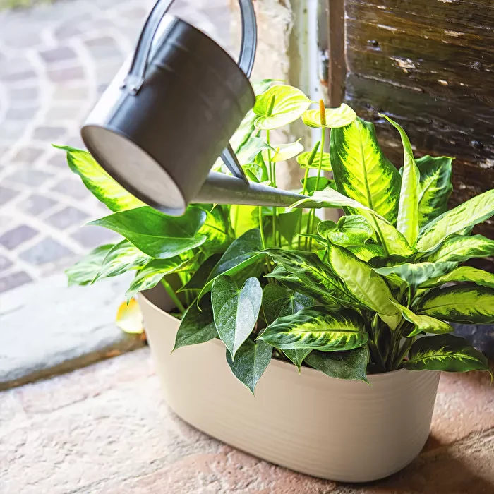 Guzzini Tierra plant pot holder 15.4x29.2 cm milk white - Image 5